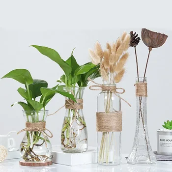 Гидропонные вази за растенията Прозрачна Ваза за бутилки с растения Саксия Nordic Creative САМ Bottle Украса на масата в хола
